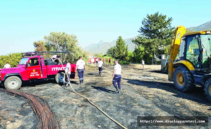 Akasya ağaçları zarar gördü