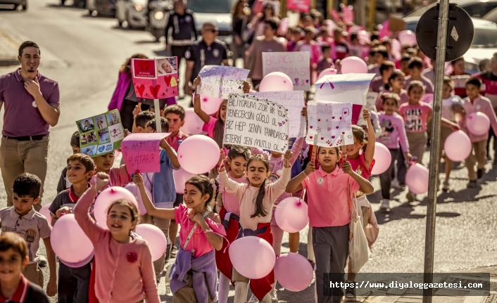 Pembe balonlarla mesaj verildi