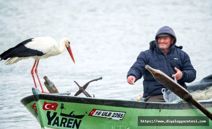 Hoş geldin ‘Yaren’