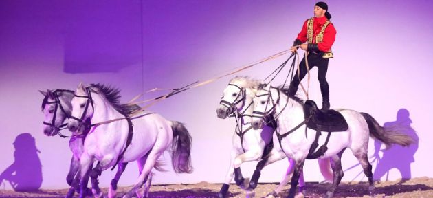 İstanbul - Lord of the Horses “Atların Efendisi” gösterisi