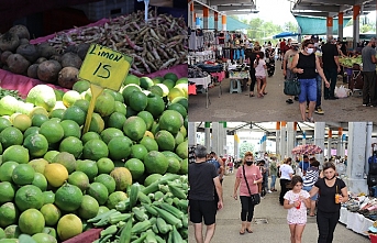 Kıbrıs’ta limonun kilosu 15 lira