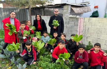 İlk hasatlar yapıldı