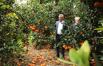 "Faturası çok ağır"