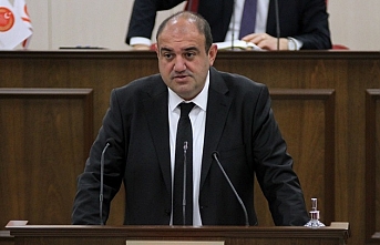 İş bilmezlik