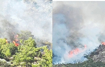 Güçlükle söndürüldü