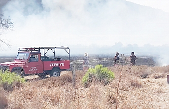 Ağaçlar zarar gördü