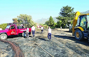 Akasya ağaçları zarar gördü