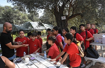 Zeytin hasadı anlatıldı