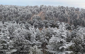 Trodos’a kar düştü