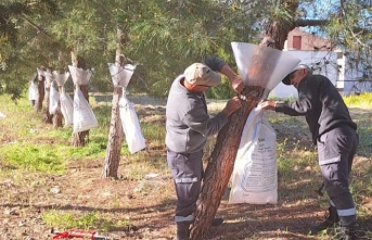 Biyolojik yöntemler kullanılıyor