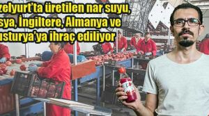 Ambargoyu kırdı