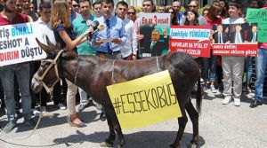 Eşekli protesto