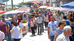 Luricina canlandı