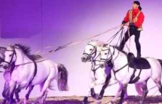 İstanbul - Lord of the Horses “Atların Efendisi”...