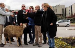 Koç’la toplantı yaptı