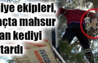 Tüm mahalle alkışladı